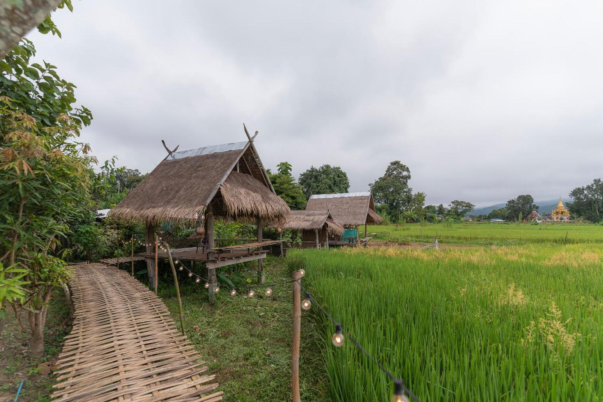 Paddy Fields Haven - Natures Nest Pai Zewnętrze zdjęcie